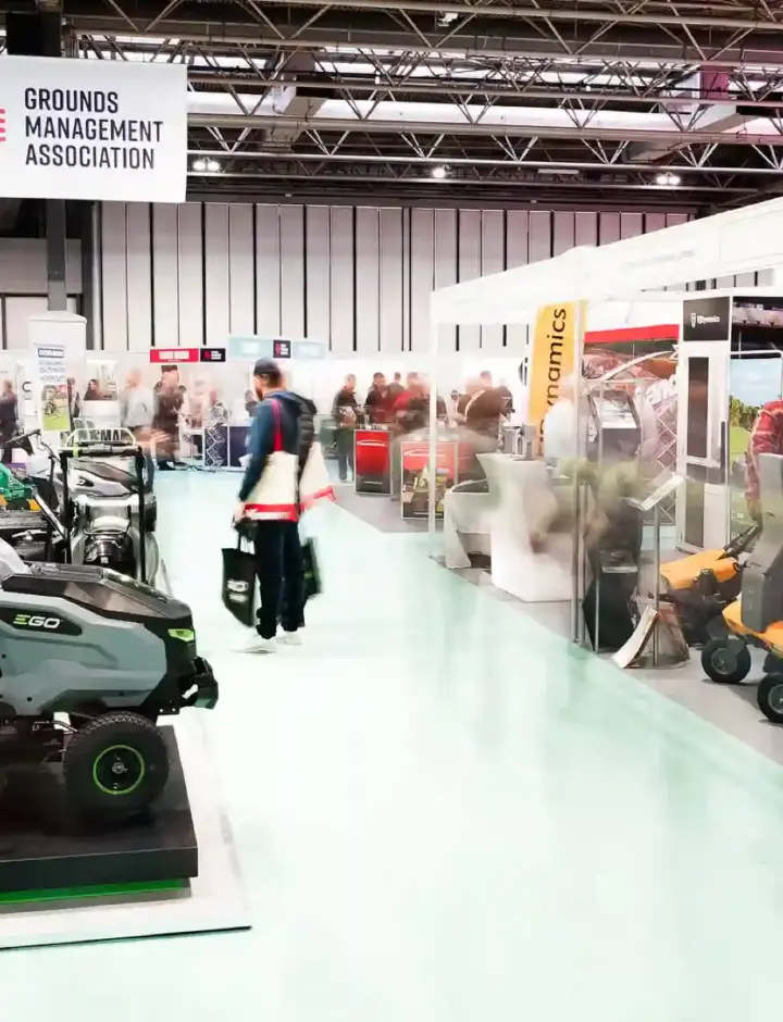 Saltex