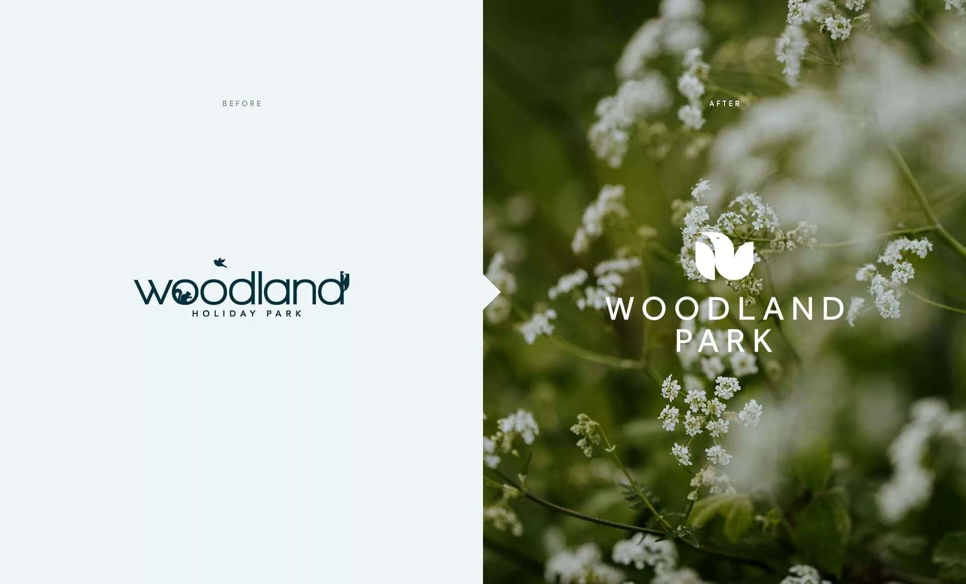 Woodland Park 1