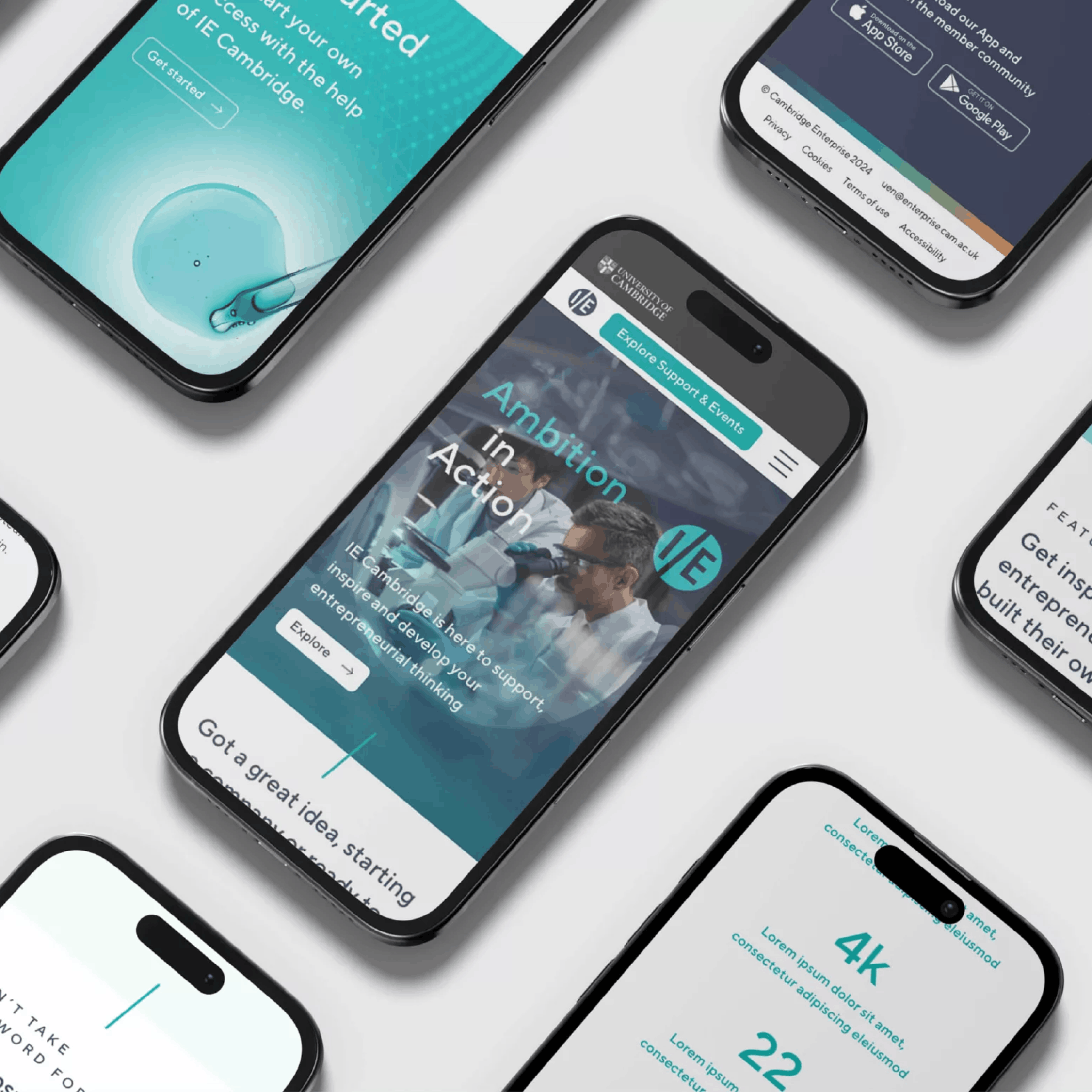 Web design and development